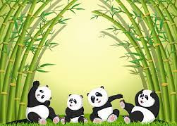 9 Great Reasons to Choose Bamboo Products for your Sustainable Home